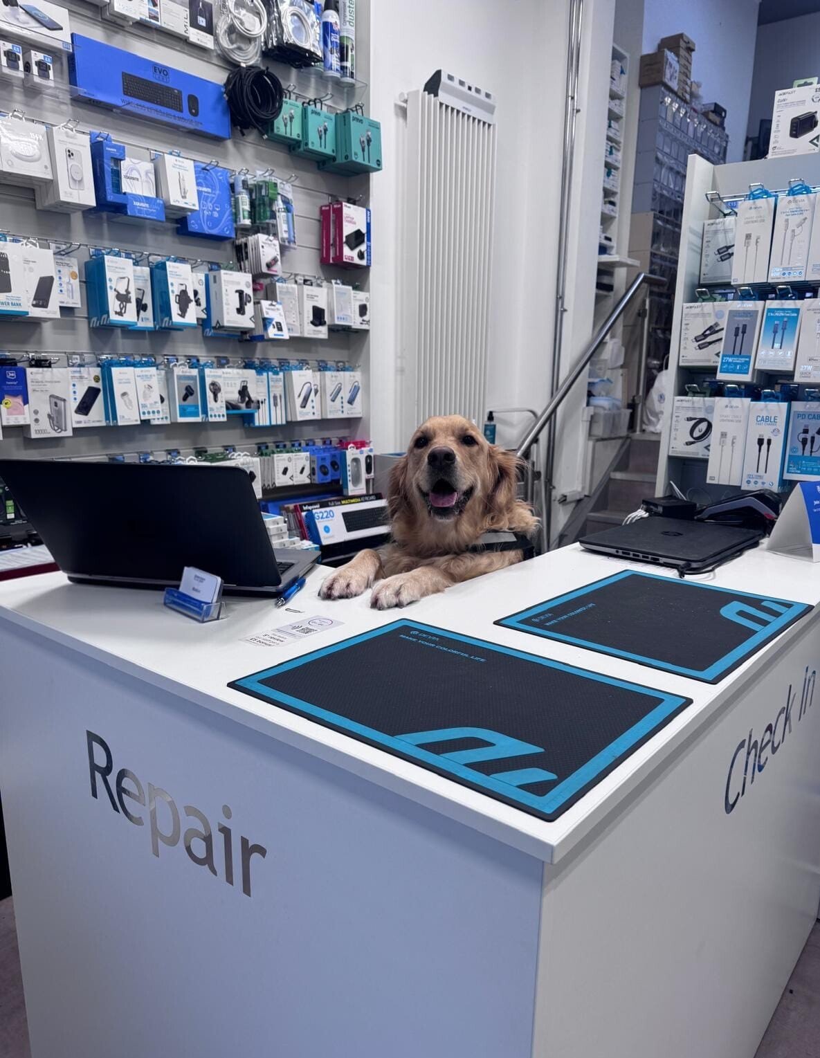 bb93690f-493b-4642-8095-4394fe833f81